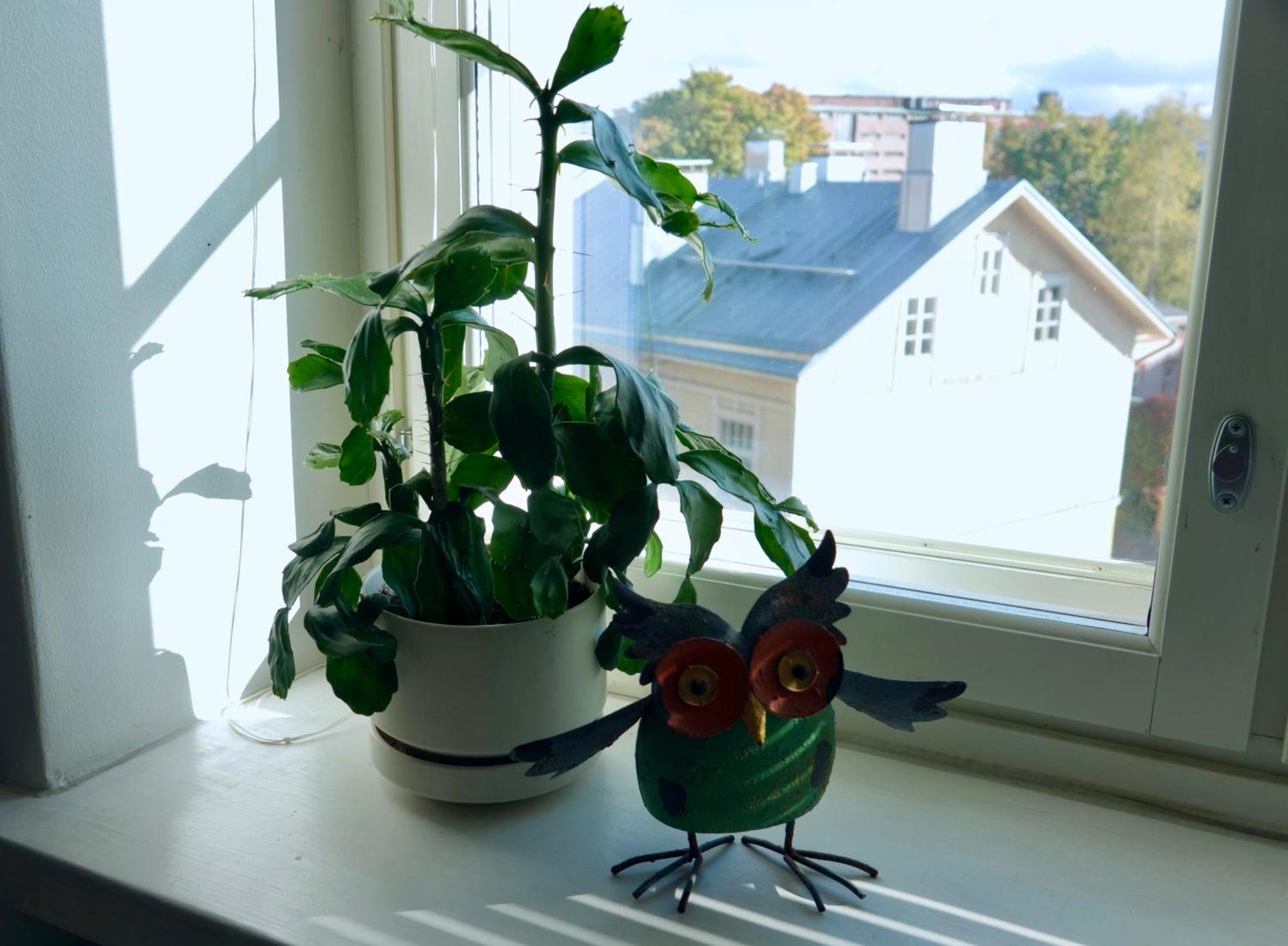 Charming City Studio Tampere Esterno foto